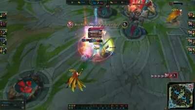 The One For All Meat Grinder