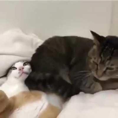 Just acts like nothings there