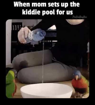 Moms help keep those businesses afloat