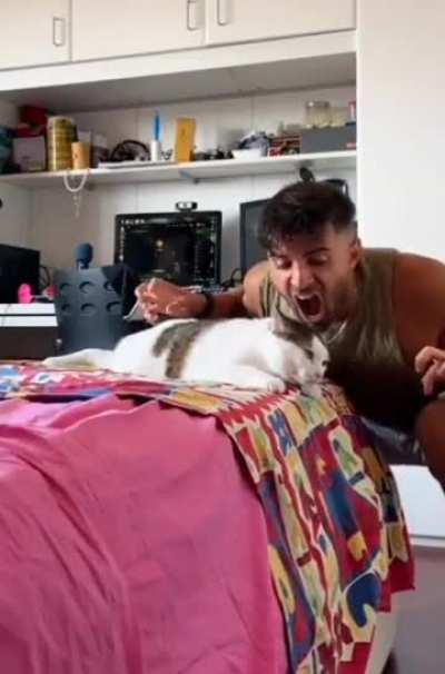 What in the hell is going on here?