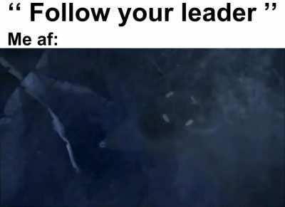 "A mission to explore under the ice of Europa, will be the ultimate chud challange"