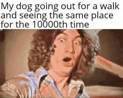 He do be good boi doe