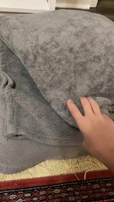 Came very close to sitting on this.