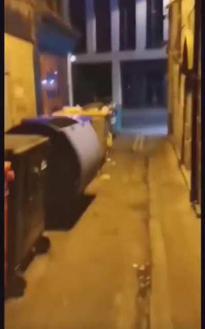 Bin running 🏃‍♂️