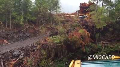 bull_halal_video_compressed_free_movies.mov (video in Arabic language) فيديو مضحك حلال بقر قرون طويلة 100٪ 2012 ➡️➡️❤️😱🙏🏼☪️☪️☪️☪️