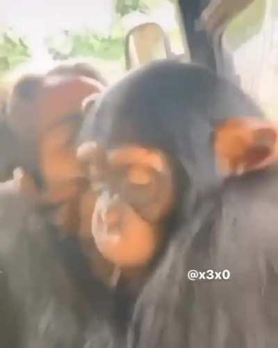 yo cuando me tomo las pastillas