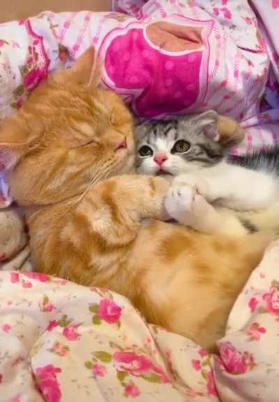 Adopted Little Sister