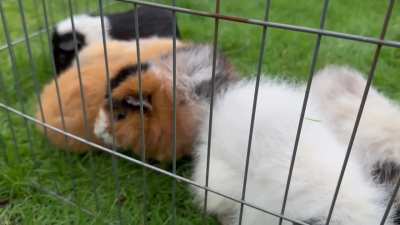 HELP! Has anyone else had this problem?