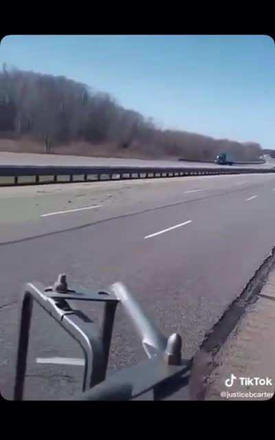 Why not to let a bird out on the side of a highway (both POVs)