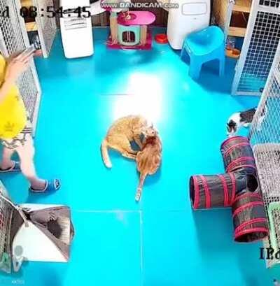 Сильная независимая женщина