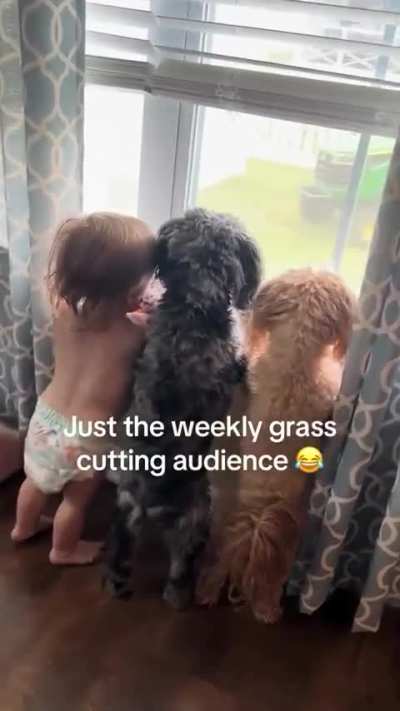 Cutest Audience