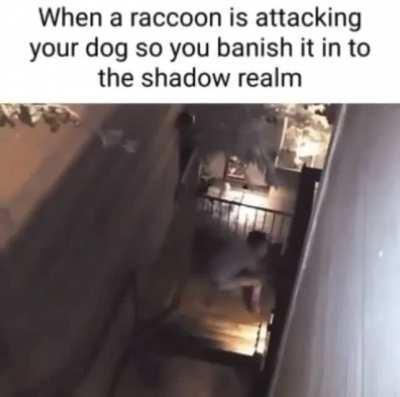 when a raccoon is attacking your dog so you banish it to the shadow realm