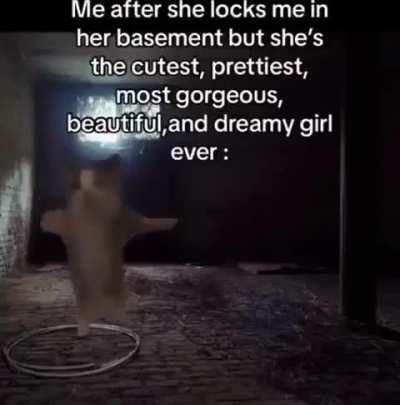 Losercity stockholm syndrome 