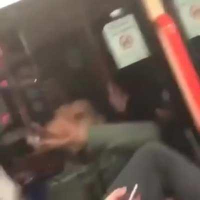 WCGW if I bang on the train window