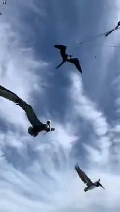 Thanks I hate losing my whole haul