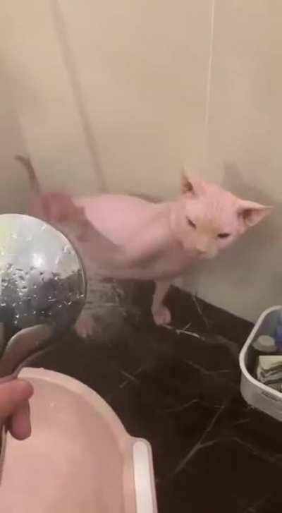 The camera man was found dead