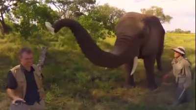 Just trying if it fits