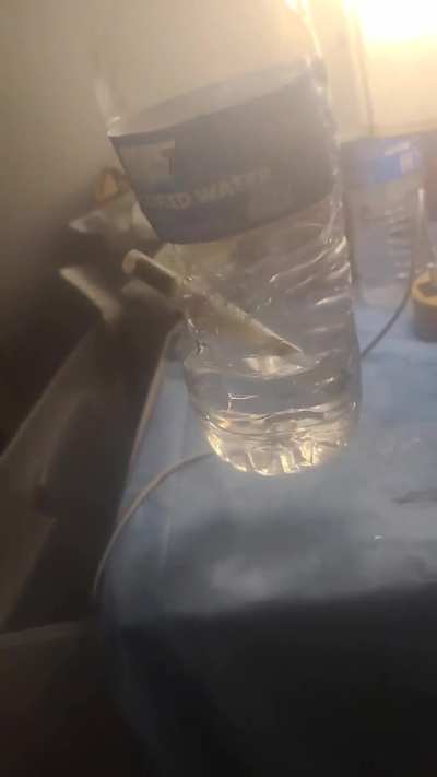 Just a little razzle