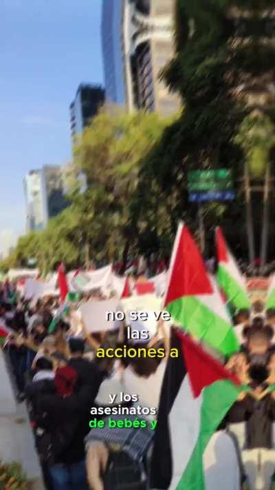 ¿Qué piensan los mexicanos sobre esto? 🇮🇱 O 🇵🇸??