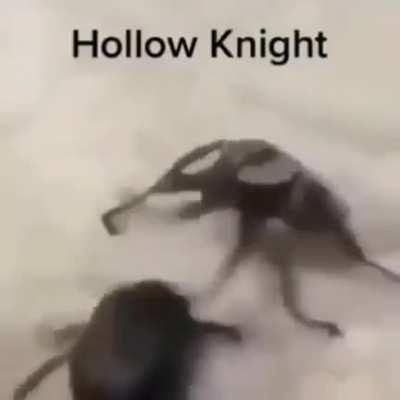 Hollow Knight