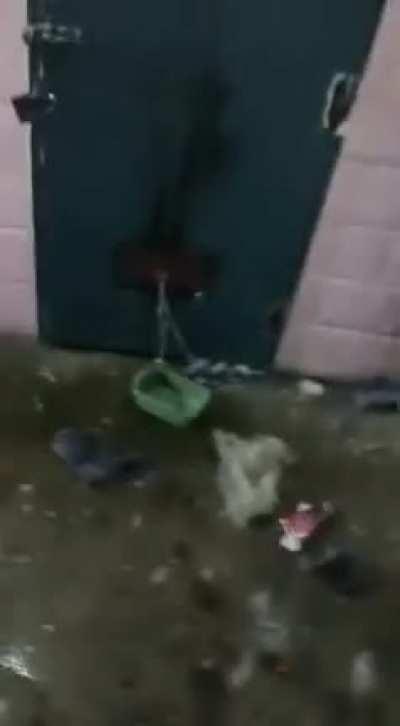 Mauro 🤑🤙🤙🤙