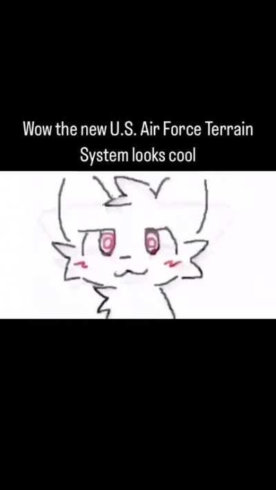 Suddenly, I wish to pursue a career in the airforce.