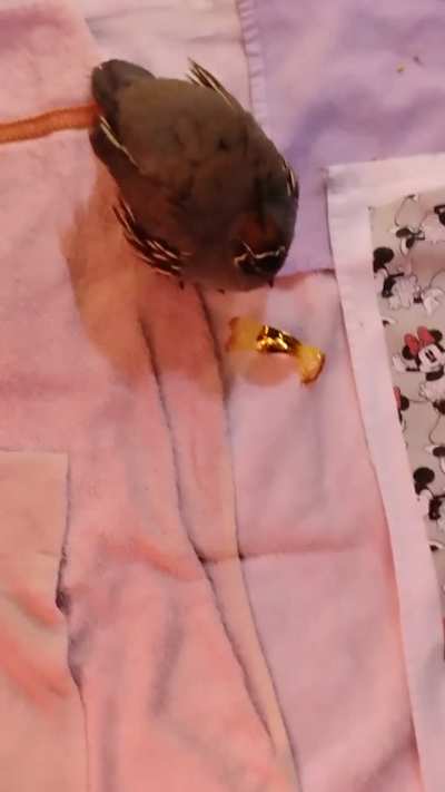 Stolen candy wrapper