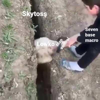 Goddamn Skytoss players