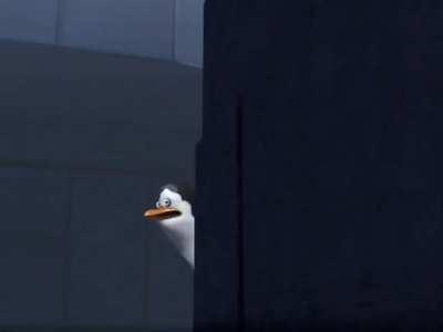 What a wacky situation! (the mods dont know)