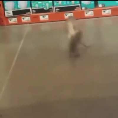 Caught 2 NY niggas fighting