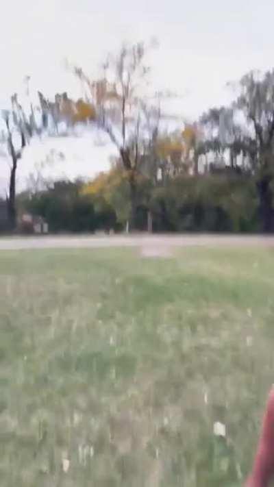 What the shopping cart doing.