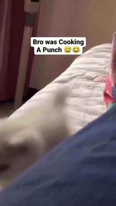 bro started watching one punch man