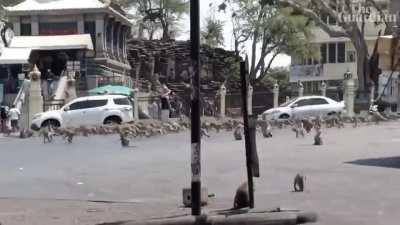 Infrared returning to twitch