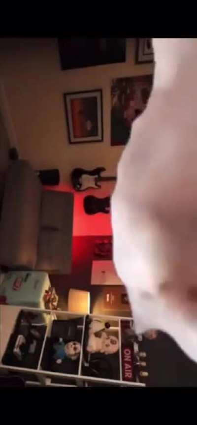 This cat accurately represents how I was vibing to Kevin.