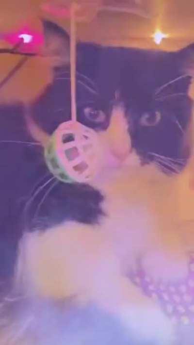 This trip cave is better than mine.