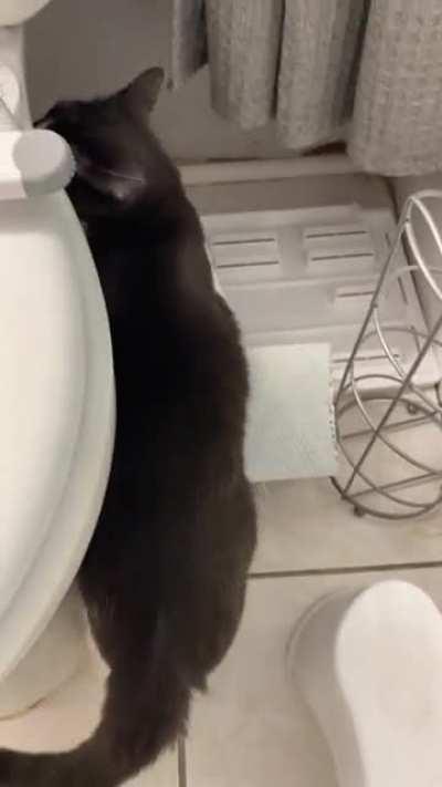 Using tissue properly