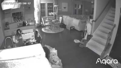 Possible Orb or paranormal entity caught on home surveillance camera