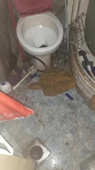 cursed_ToiletRat