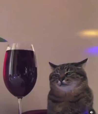 iyi geceler kgbtr hluku