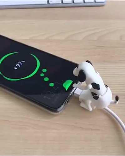 This Fucking Dog Charger Cable