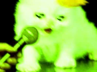 My life really be like that 😿