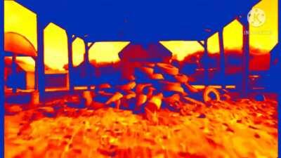 Gordon Takes A Tumble crash in a shellnut