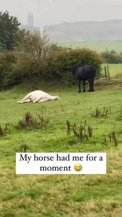 Zero reaction time when hearing his name