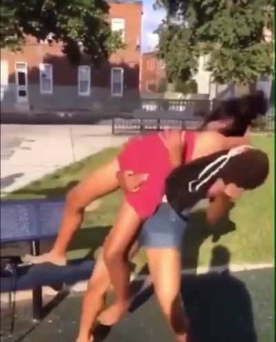 Girl gets slammed and stomped at the park