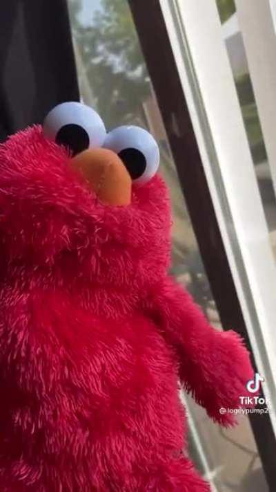 Better not guess wrong. Dont f*ck with Elmo.