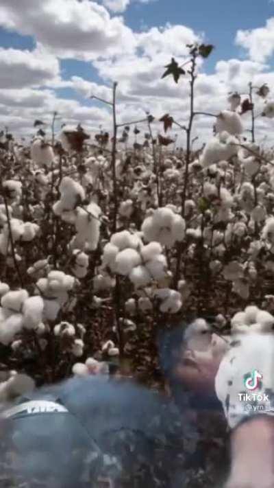 Ah ok🙅🏾‍♂️