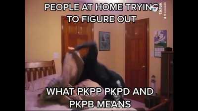 My contribution for Meme Monday, hopefully this doesn’t get taken down lol