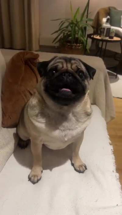 Ted. Your mouth is moving a lot…