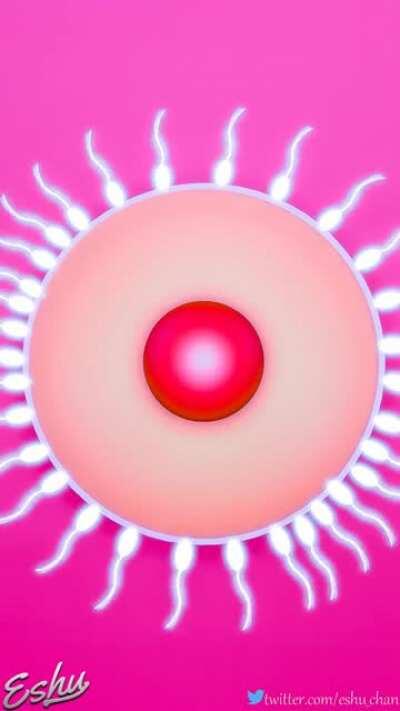 [H/F] Now you will serve her (eshu-chan)