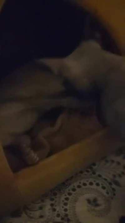 I could fill this sub with posts like this one